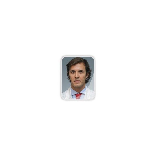 Dr Rui Pimenta