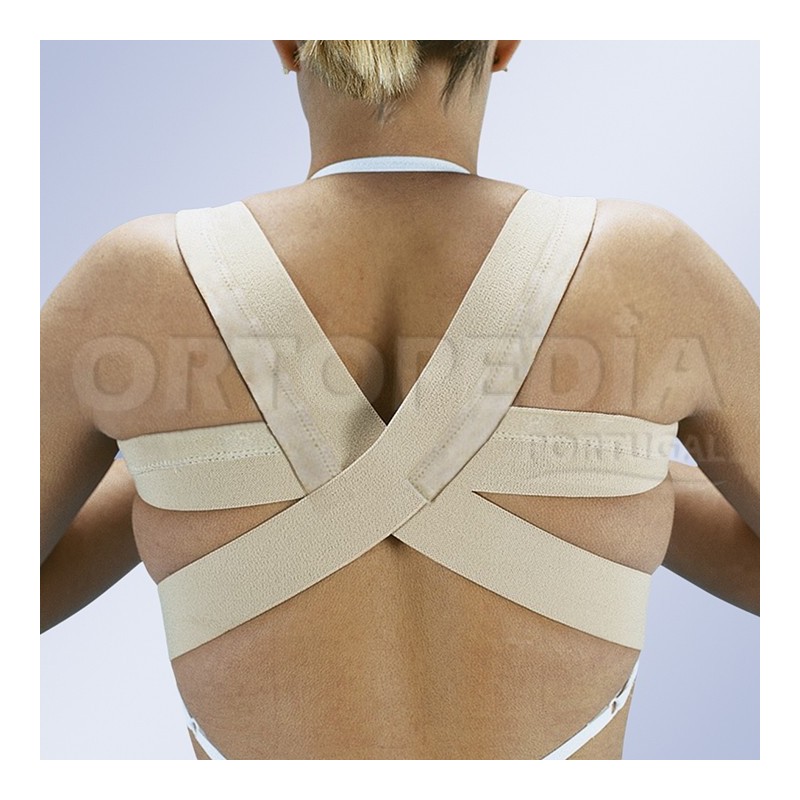 Corrector dorsal 
